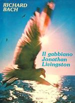 Il gabbiano Jonathan Livingston