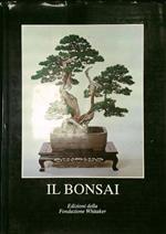 Il bonsai