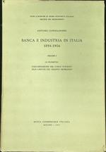 Banche e industria in Italia 1894-1906 vol. I