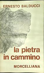 pietra in cammino