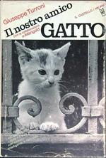 nostro amico gatto