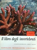 libro degli invertebrati