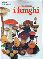 Riconoscere i funghi