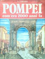 Pompei com'era 2000 anni fa