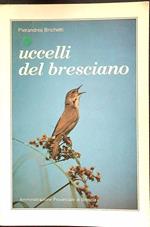 Uccelli del bresciano