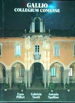 Gallio collegium comense