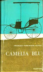 Camelia blu