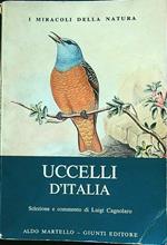 Uccelli d'Italia