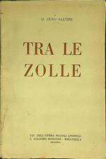 Tra le zolle