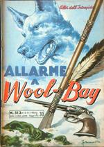 Allarme a Wool-Bay