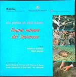 Fauna minore del Savonese