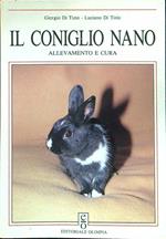 Il coniglio nano