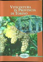 Viticoltura in provincia di Torino
