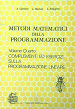 Metodi matematici della programmazione vol. IV