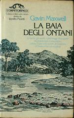 La baia degli ontani