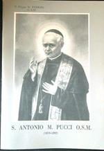 S. Antonio M. Pucci 1819-1892