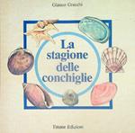 La Stagione delle conchiglie