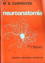 Neuroanatomia