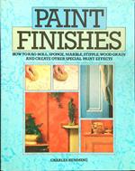 Paint Finishes