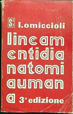 Lineamenti di anatomia umana