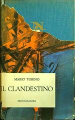 Il clandestino