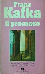 Il processo