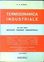 Termoidraulica industriale