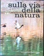 Sulla via della natura