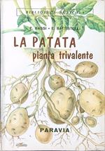 La patata pianta trivalente