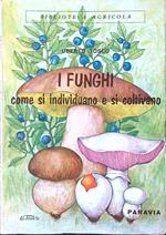 I funghi. Come si individuano e si coltivano