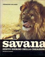 Savana, sesto giorno della creazione