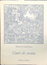 Ciuri di strata