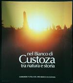 Nel bianco di Custoza