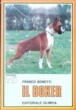 Il Boxer