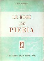 Le rose della Pieria