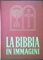 La Bibbia in immagini. L'antico e il nuovo testamento