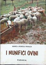 I munifici ovini