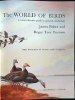 The world of birds