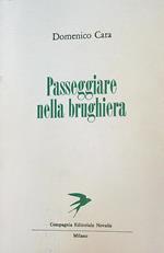 Passeggiare nella brughiera