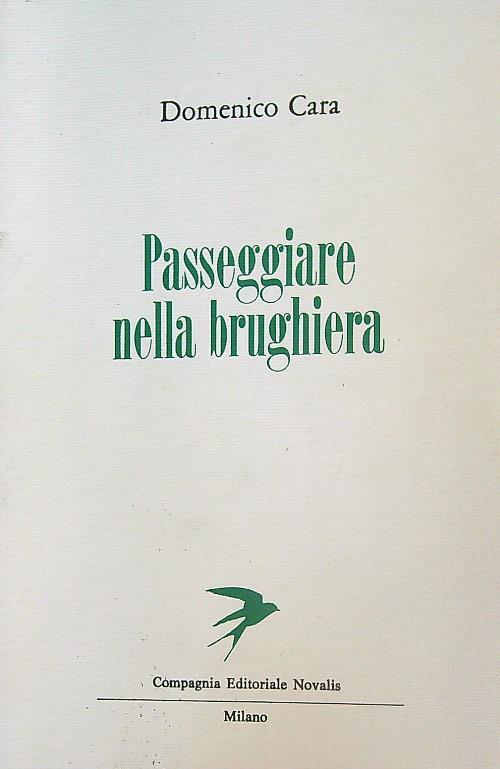 Passeggiare nella brughiera - Domenico Cara - copertina