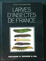 Larves d'insectes de France