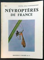 Nevropteres de France