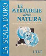 Le meraviglie della natura IV