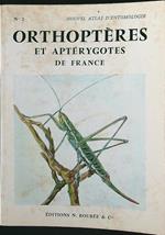 Orthopteres et apterygotes de France