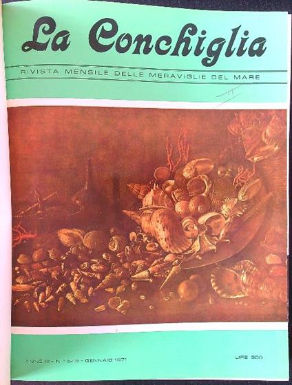 La La conchiglia raccolta 1971-1972 - copertina