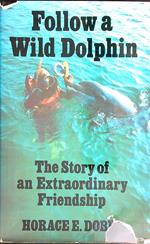 Follow a Wild Dolphin 