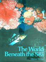 The world beneath the sea