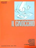 Il ginocchio