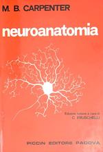 Neuroanatomia