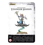Age of Sigmar - Disciples of Tzeentch - Tzaangor Shaman